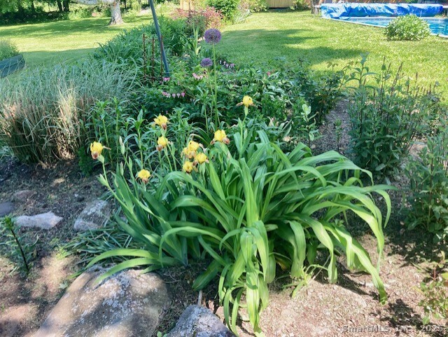 3 Conn River Road East Haddam, CT 06423 - Photo 6 of 22 a view of a garden with an outdoor space