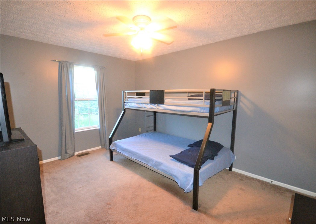 248 Ripley Avenue Akron, OH 44312 - Photo 9 of 14 Gallery Image 9