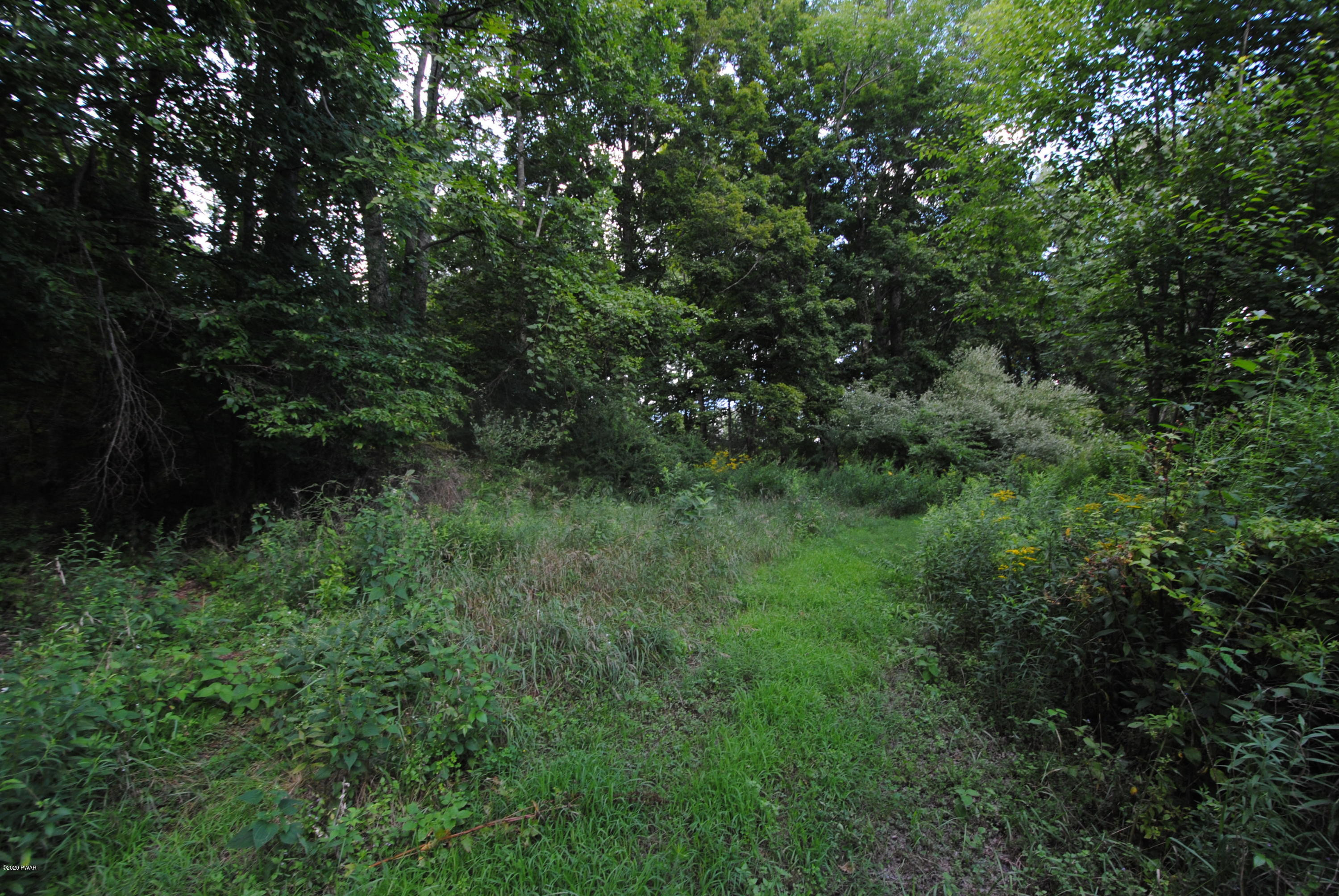 Bates Road Honesdale, PA 18431 - Photo 4 of 14