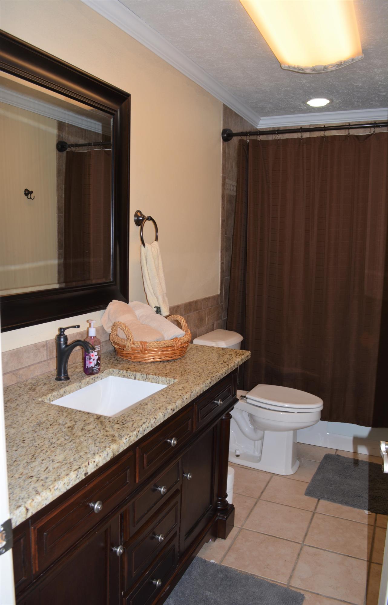 541 Kodak Road Kodak, TN 37764 - Photo 16 of 31 Hall Bathroom 2