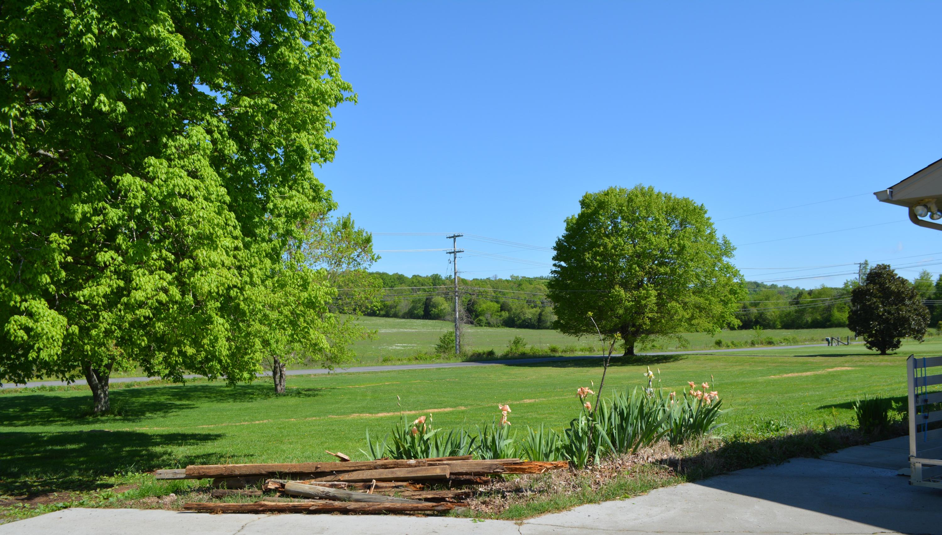 541 Kodak Road Kodak, TN 37764 - Photo 3 of 31 Front Yard 2