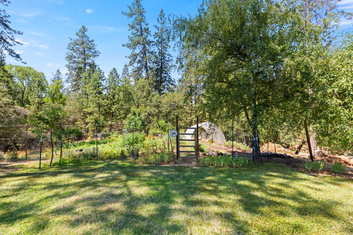 983 Coyote Hill Road Colfax, CA 95713 - Photo 82 of 91 Gallery Image 82