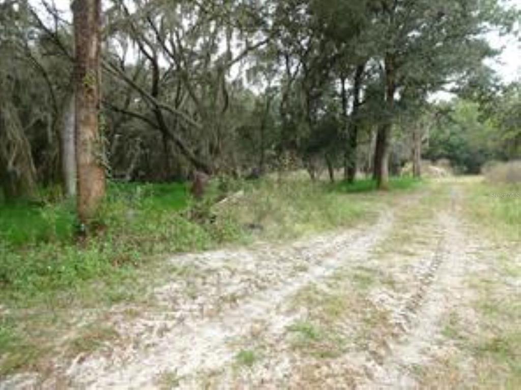 610 Burnsed Road Pierson, FL 32180 - Photo 10 of 14