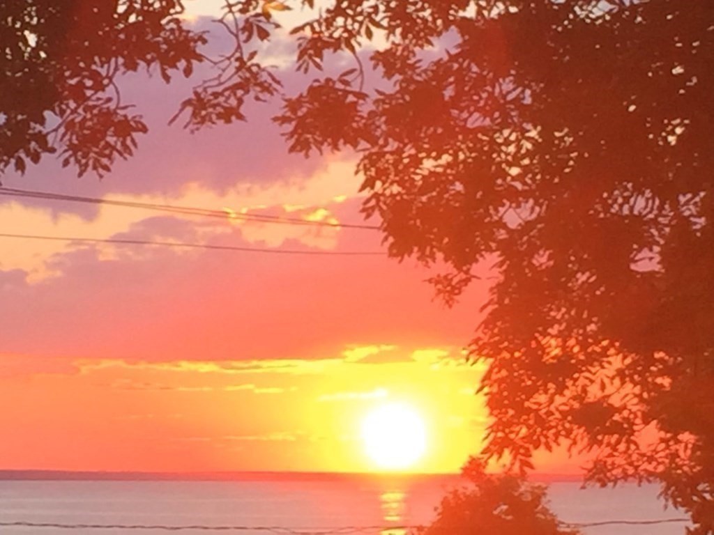 24 Jae Road Falmouth, MA 02556 - Photo 12 of 32 a view of a sky