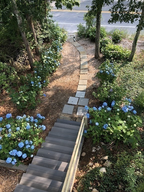 24 Jae Road Falmouth, MA 02556 - Photo 8 of 32 a view of a garden with flowers