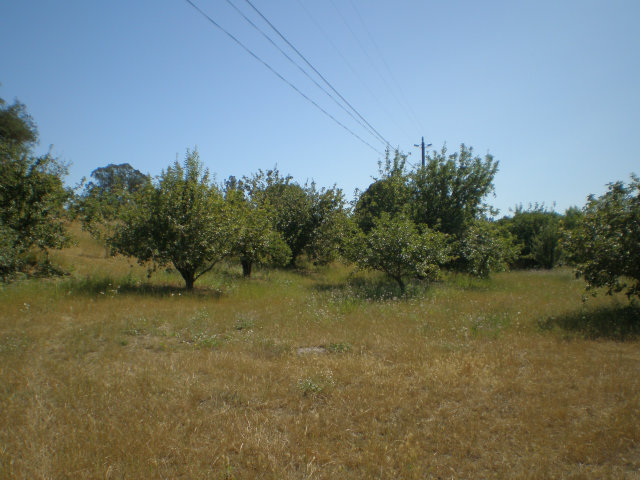 319 Casserly Road Watsonville, CA 95076 - Photo 3 of 6