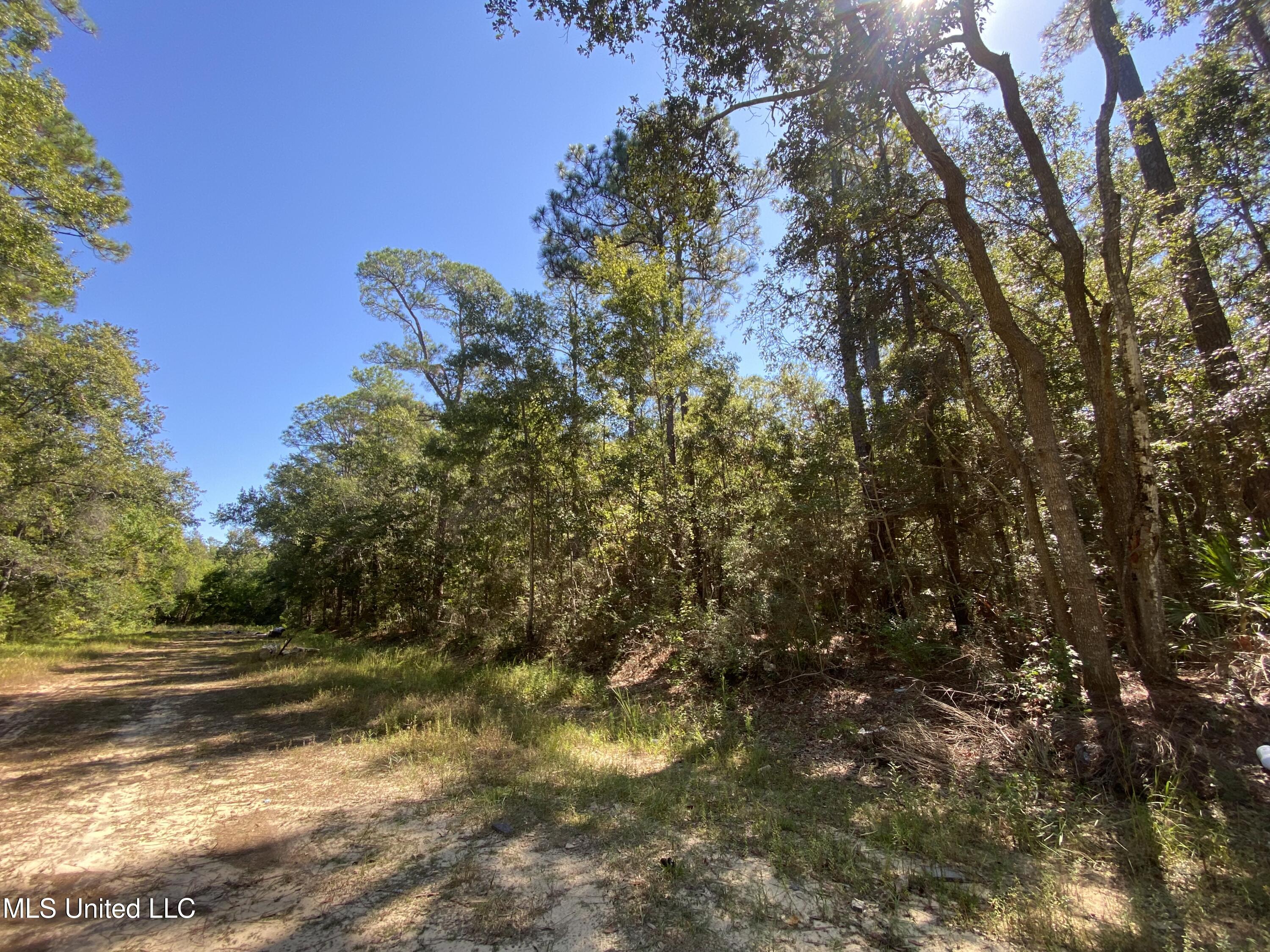 Ocean Beach Estate Ocean Springs, MS 39564 - Photo 2 of 4 IMG_5217