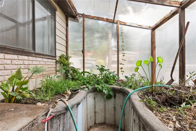 a view of a potted plants with sky view