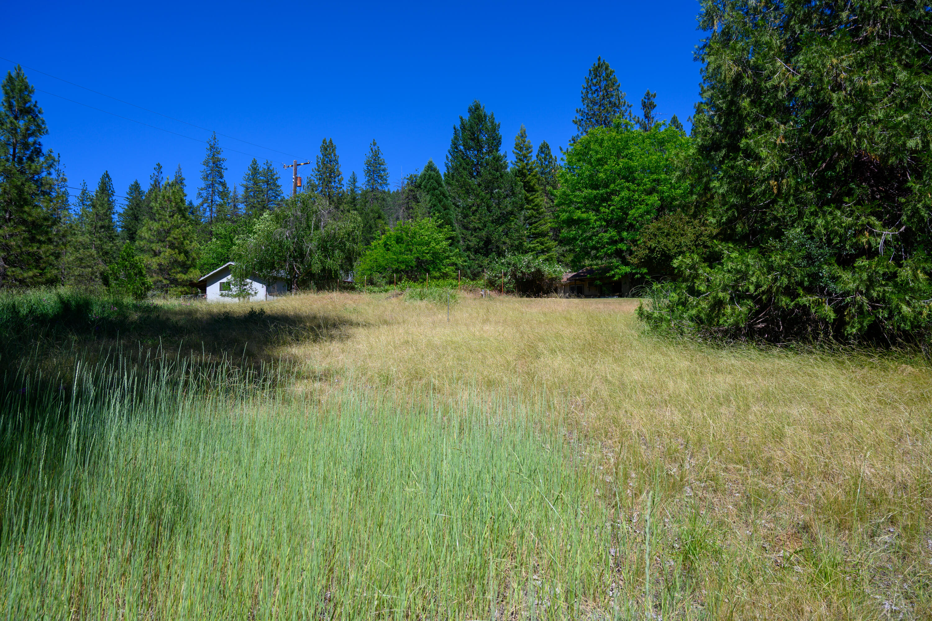 181 Meadow Road Weaverville, CA 96093 - Photo 35 of 38 rear lot
