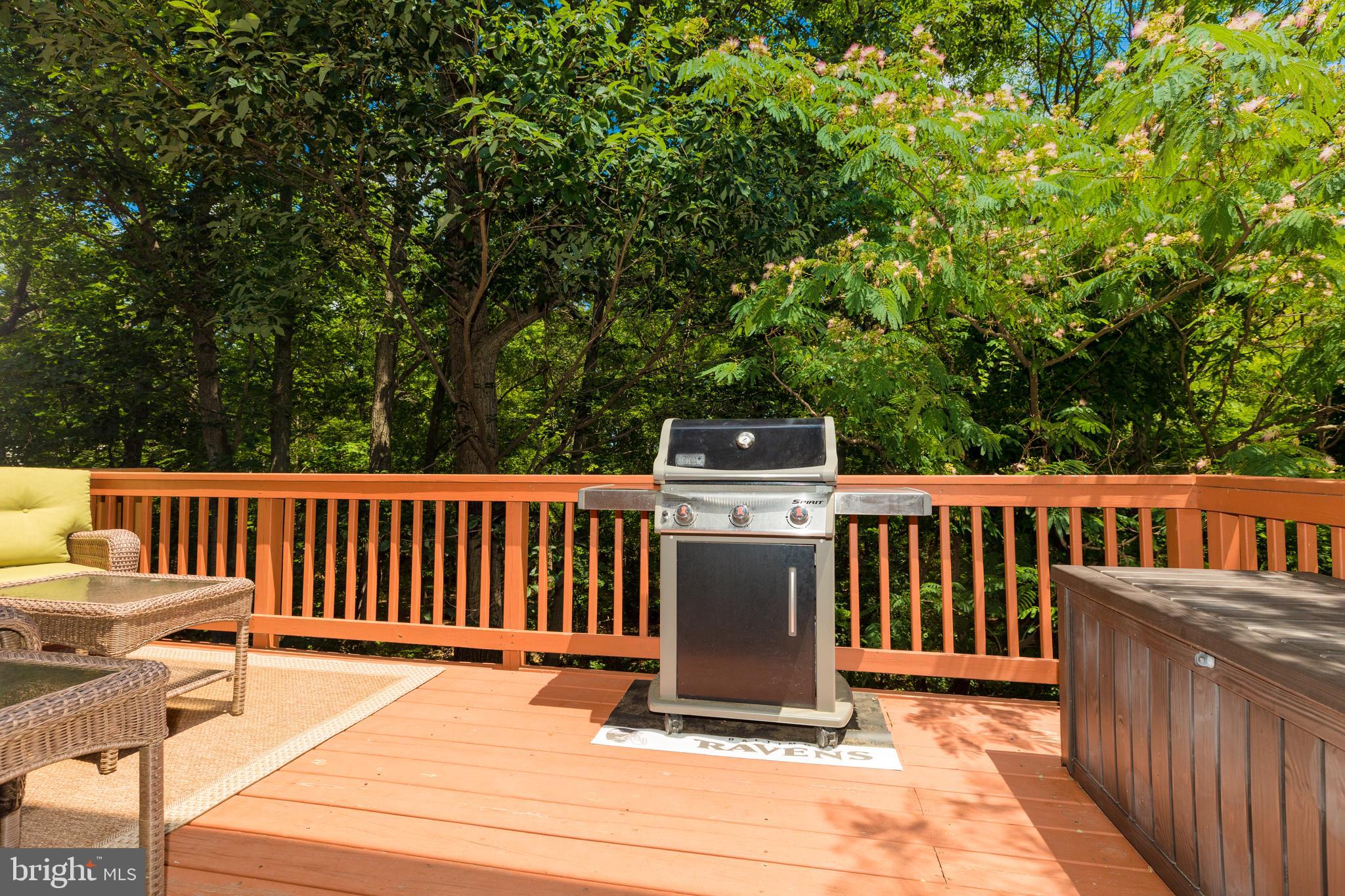 6651 Debra Lu Way Springfield, VA 22150 - Photo 17 of 40 Deck