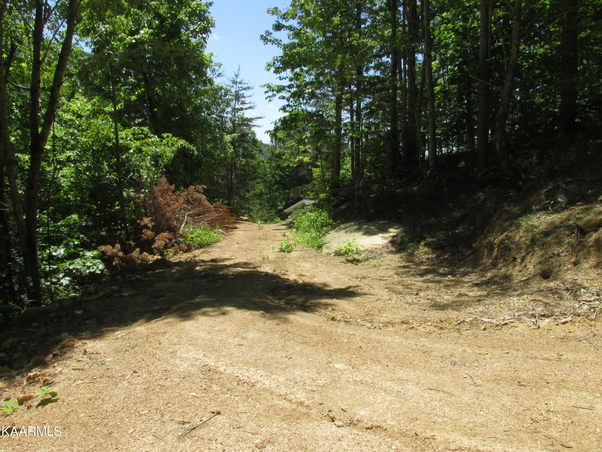 4141 Pleasant Grove Road Winfield, TN 37892 - Photo 40 of 41 Gallery Image 40