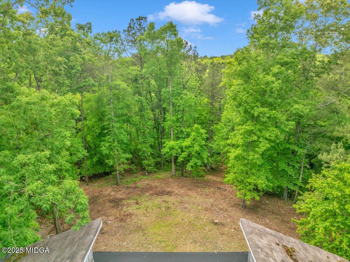 376 Mauldin Road Thomaston, GA 30286 - Photo 14 of 54 44-DJI_20250425134949_0127_D_GADRONE