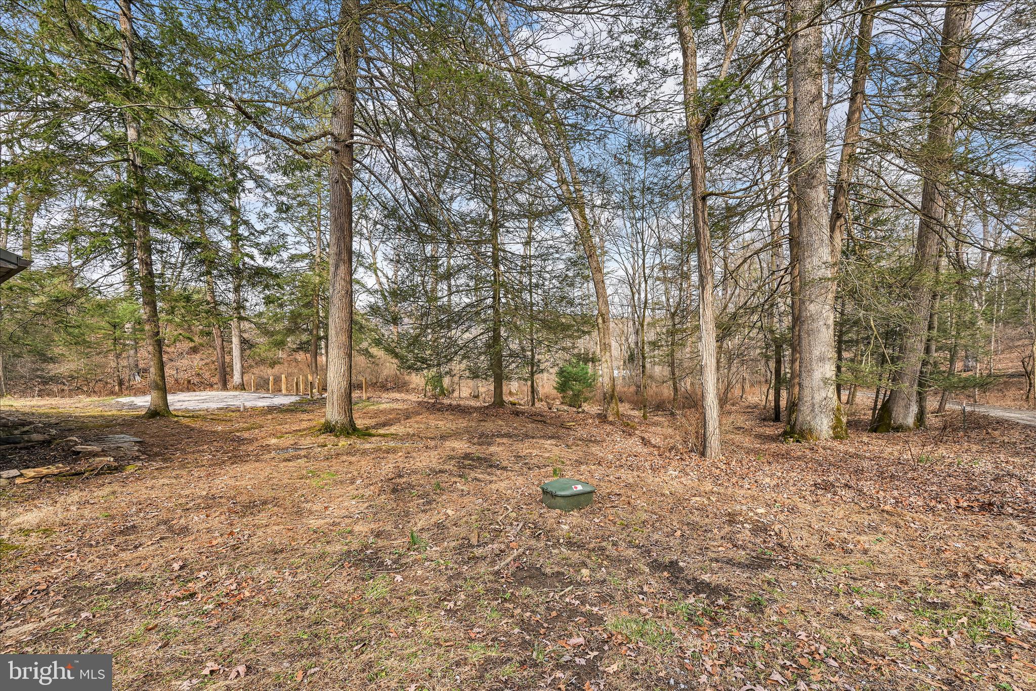 16 Short Lane Jonestown, PA 17038 - Photo 31 of 36 a view of a yard with trees
