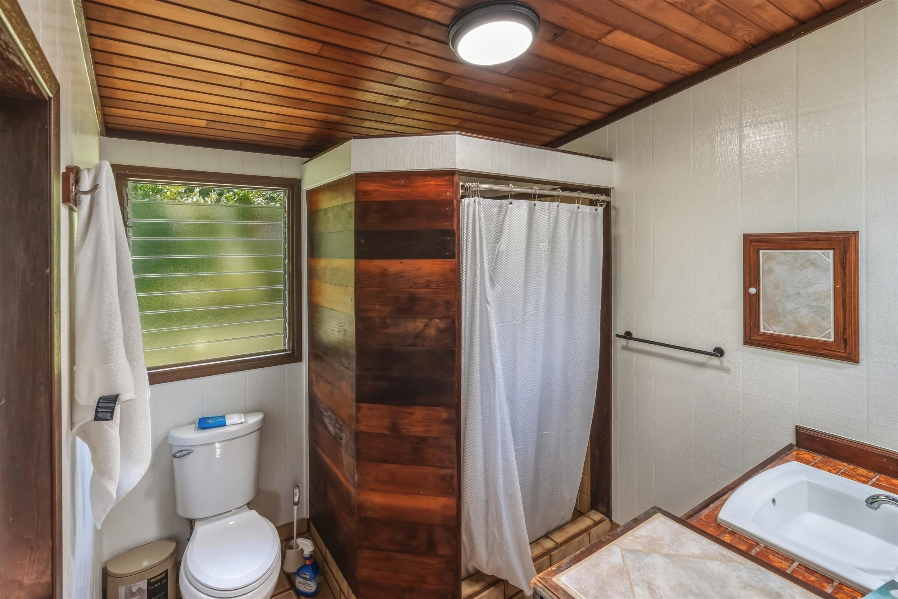 145 South Holokai Road Haiku, HI 96708 - Photo 31 of 50 a bathroom with a toilet and a shower