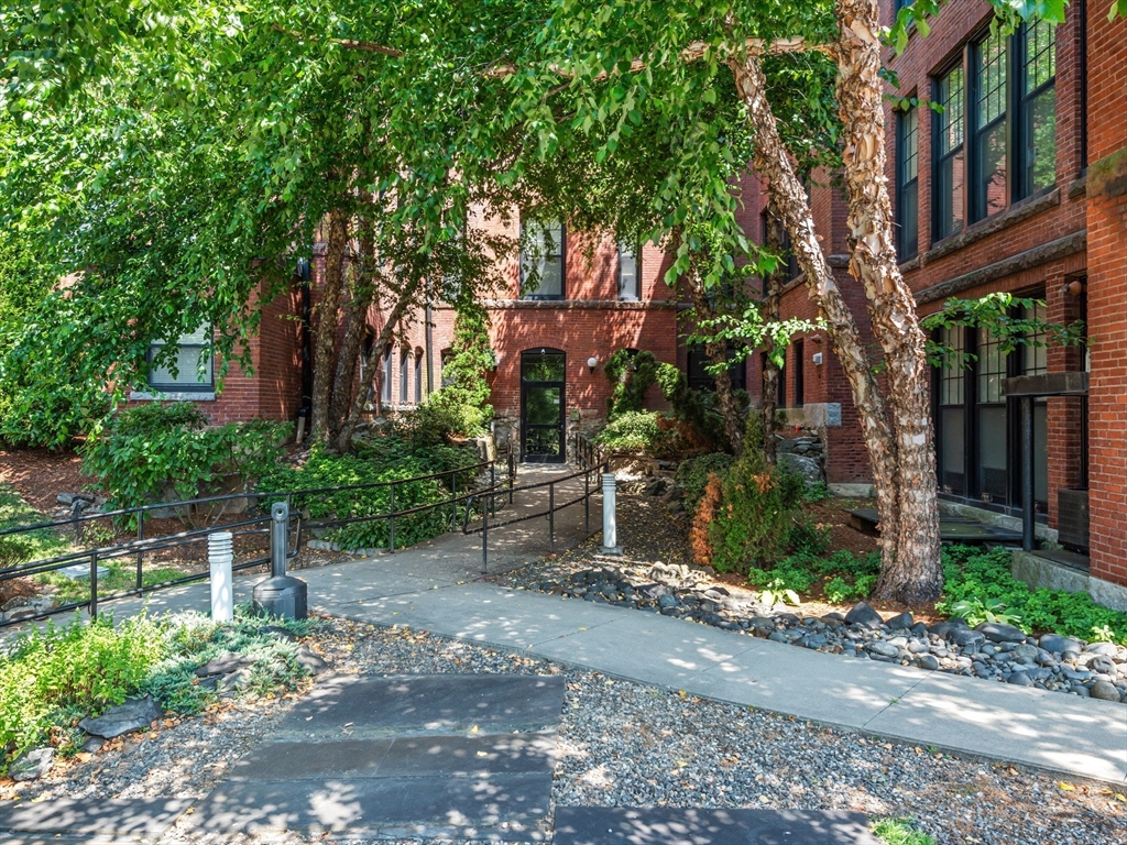 28 Adams Street, Unit 102 Worcester, MA 01604 - Photo 25 of 34 a view of a street with potted plants and large trees
