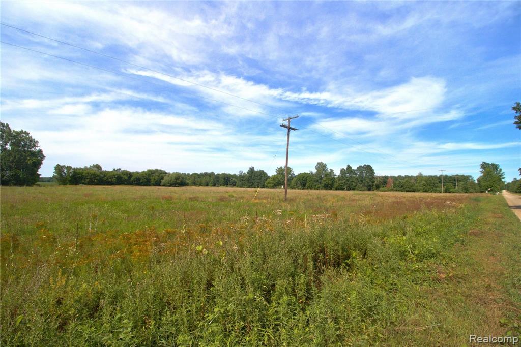 0 Washington Road Carsonville, MI 48419 - Photo 2 of 4
