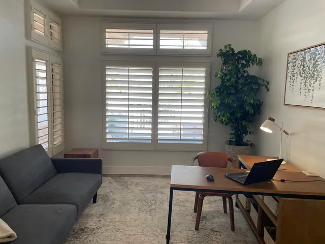 a living room with furniture and a potted plant