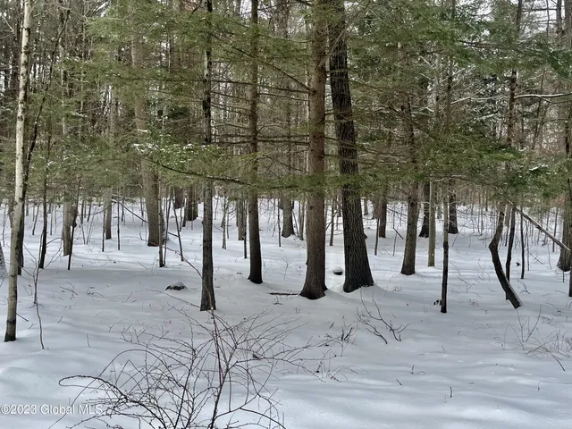 $37,500 | 24 Lady Slipper Lane, Greenfield, NY 12859