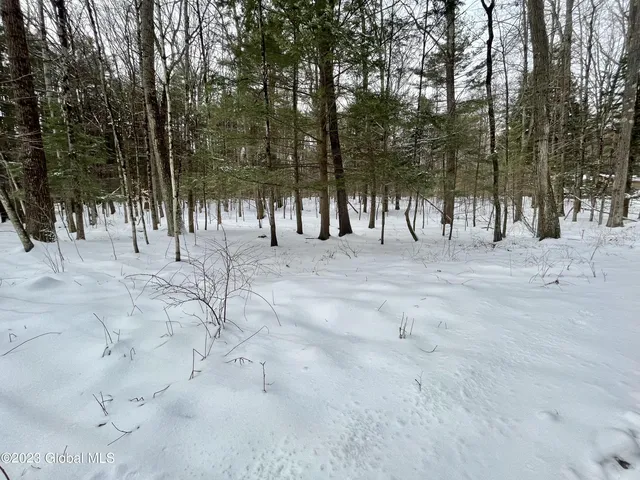 $37,500 | 24 Lady Slipper Lane, Greenfield, NY 12859