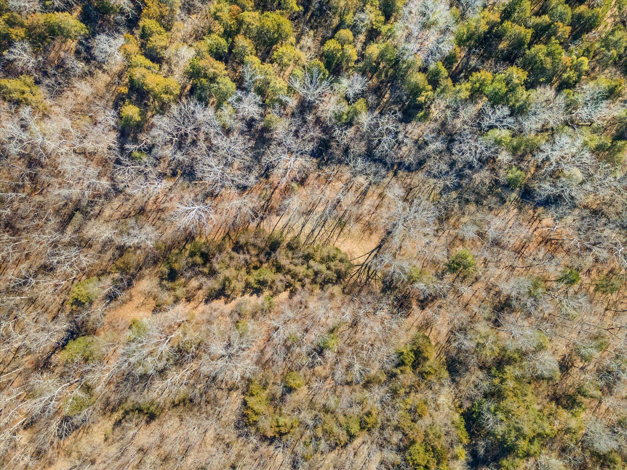 1-DJI_0003