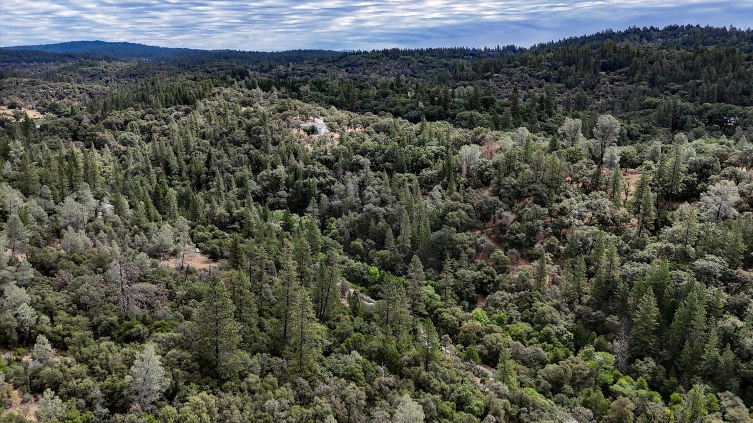 17422 Scopar Road Grass Valley, CA 95949 - Photo 44 of 63