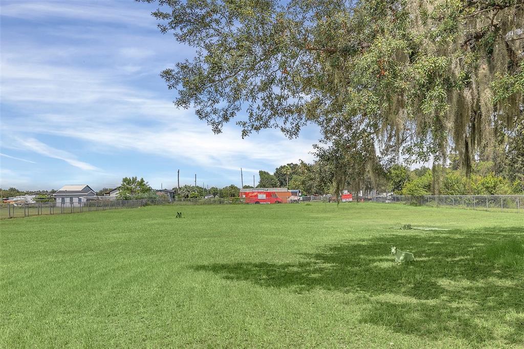 4147 Boggy Creek Road Kissimmee, FL 34744 - Photo 45 of 49 a view of a field with plants and trees