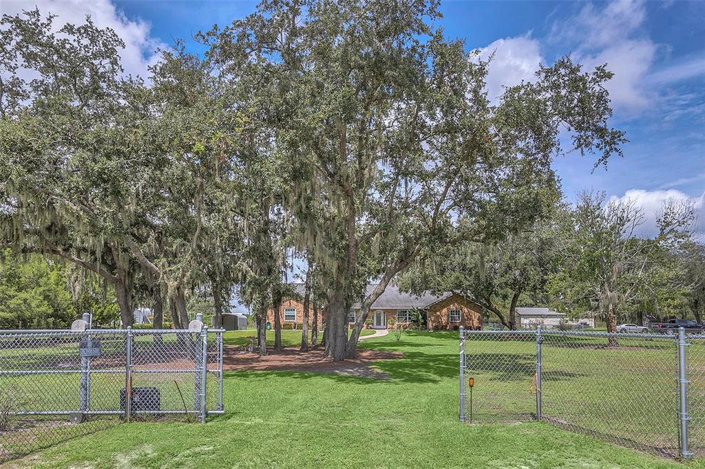 4147 Boggy Creek Road Kissimmee, FL 34744 - Photo 47 of 49 a view of a park with trees in the background