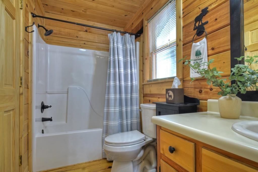 9 Joanna Court Blue Ridge, GA 30513 - Photo 23 of 34 a bathroom with a sink toilet and shower