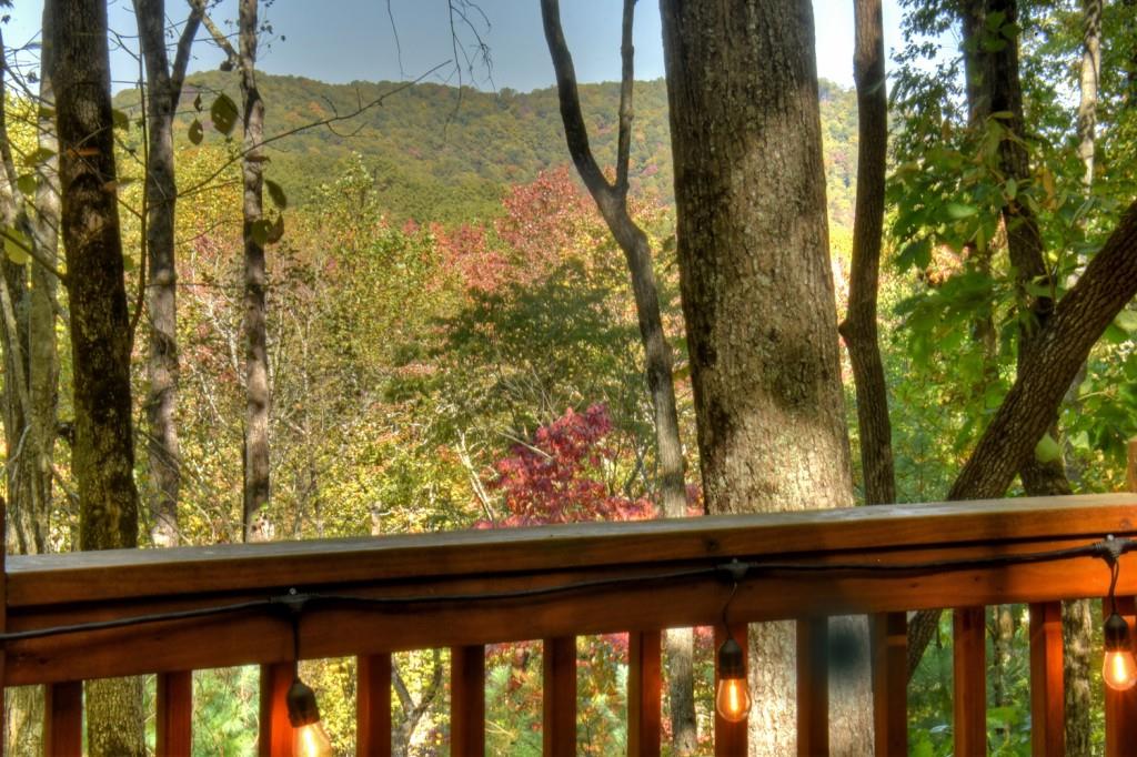9 Joanna Court Blue Ridge, GA 30513 - Photo 28 of 34 a view of a yard from a window