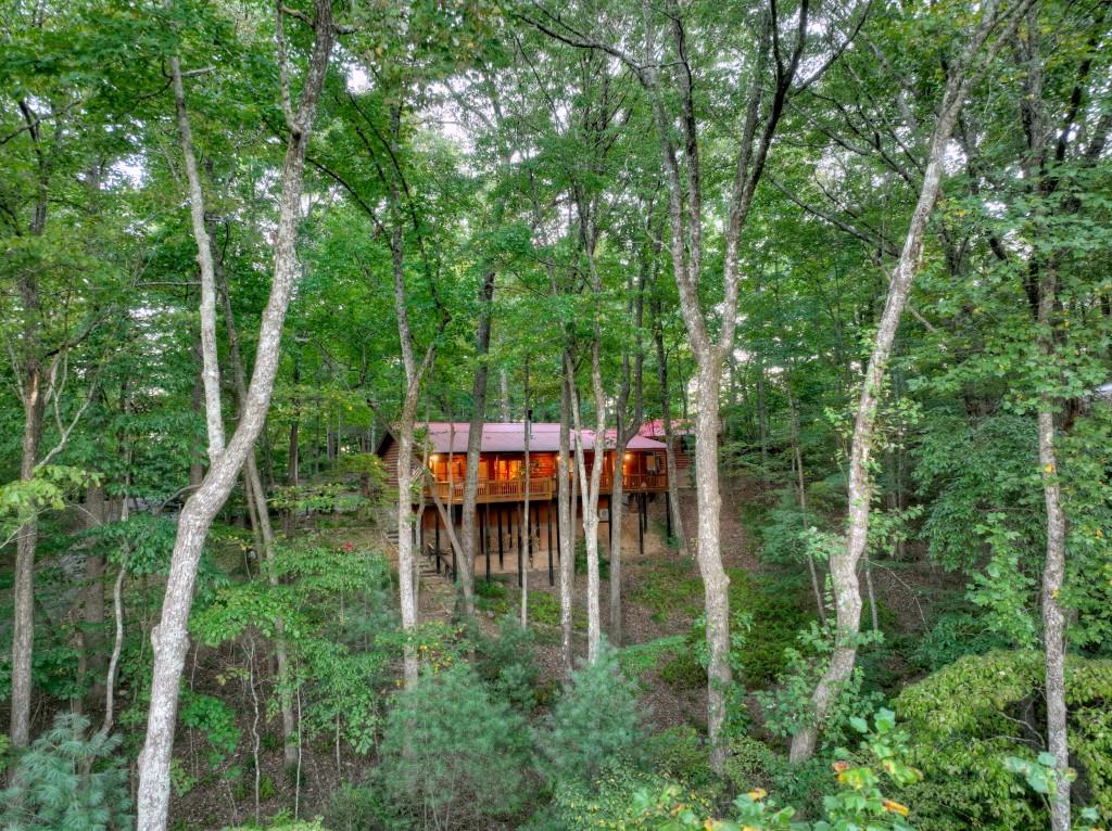 9 Joanna Court Blue Ridge, GA 30513 - Photo 32 of 34 a backyard view with a couple of trees and entertaining space