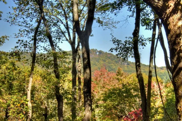 $509,990 | 9 Joanna Court, Blue Ridge, GA 30513