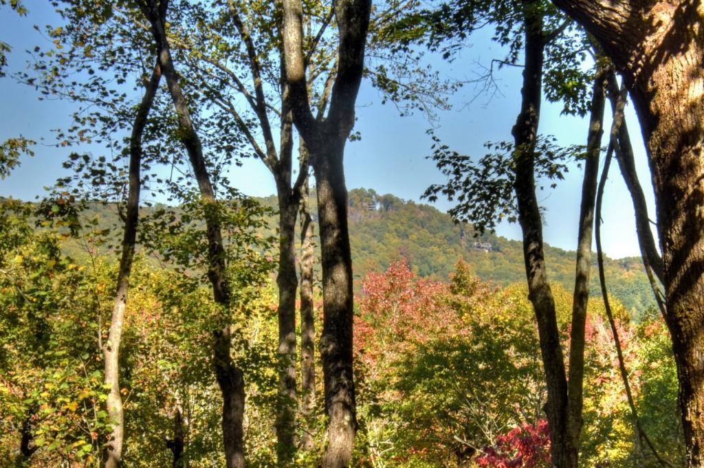 9 Joanna Court Blue Ridge, GA 30513 - Photo 33 of 34 a view of lake view