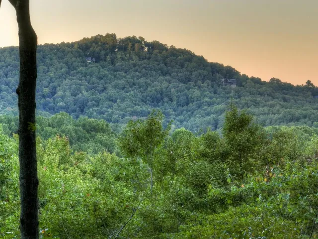 $509,990 | 9 Joanna Court, Blue Ridge, GA 30513