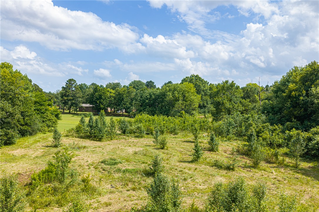 35 Graham Street Lavaca, AR 72941 - Photo 45 of 53 Gallery Image 45