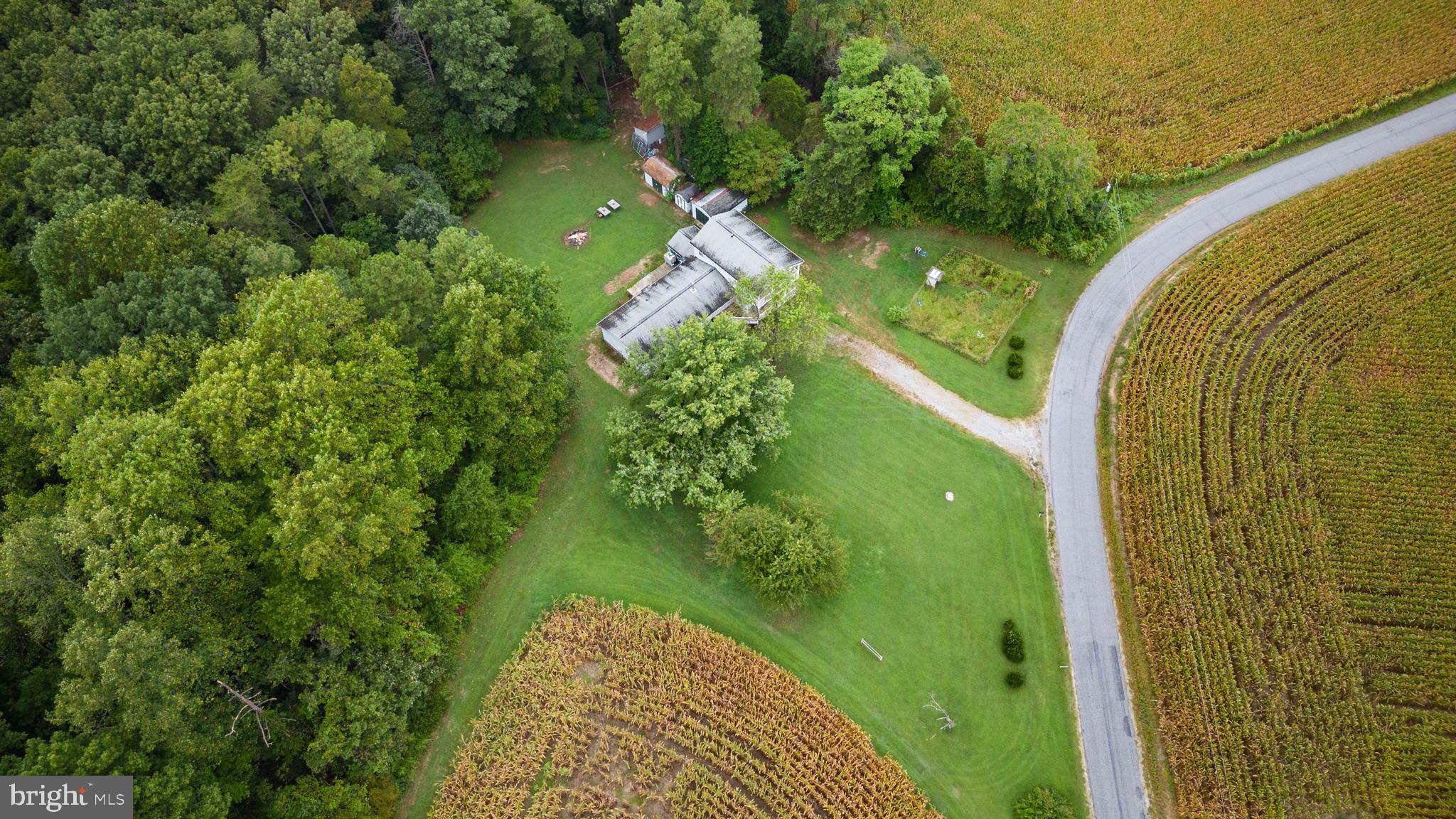 19158 Balty Road Ruther Glen, VA 22546 - Photo 42 of 48 Gallery Image 42