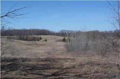 12311 7 Mile Road Northeast, Unit 12385 Belding, MI 48809 - Photo 1 of 4 Primary Photo