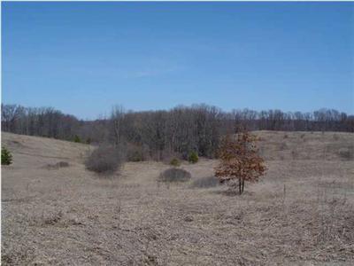 12311 7 Mile Road Northeast, Unit 12385 Belding, MI 48809 - Photo 3 of 4 Additional Photo