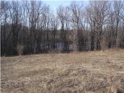 12311 7 Mile Road Northeast, Unit 12385 Belding, MI 48809 - Photo 4 of 4 Additional Photo