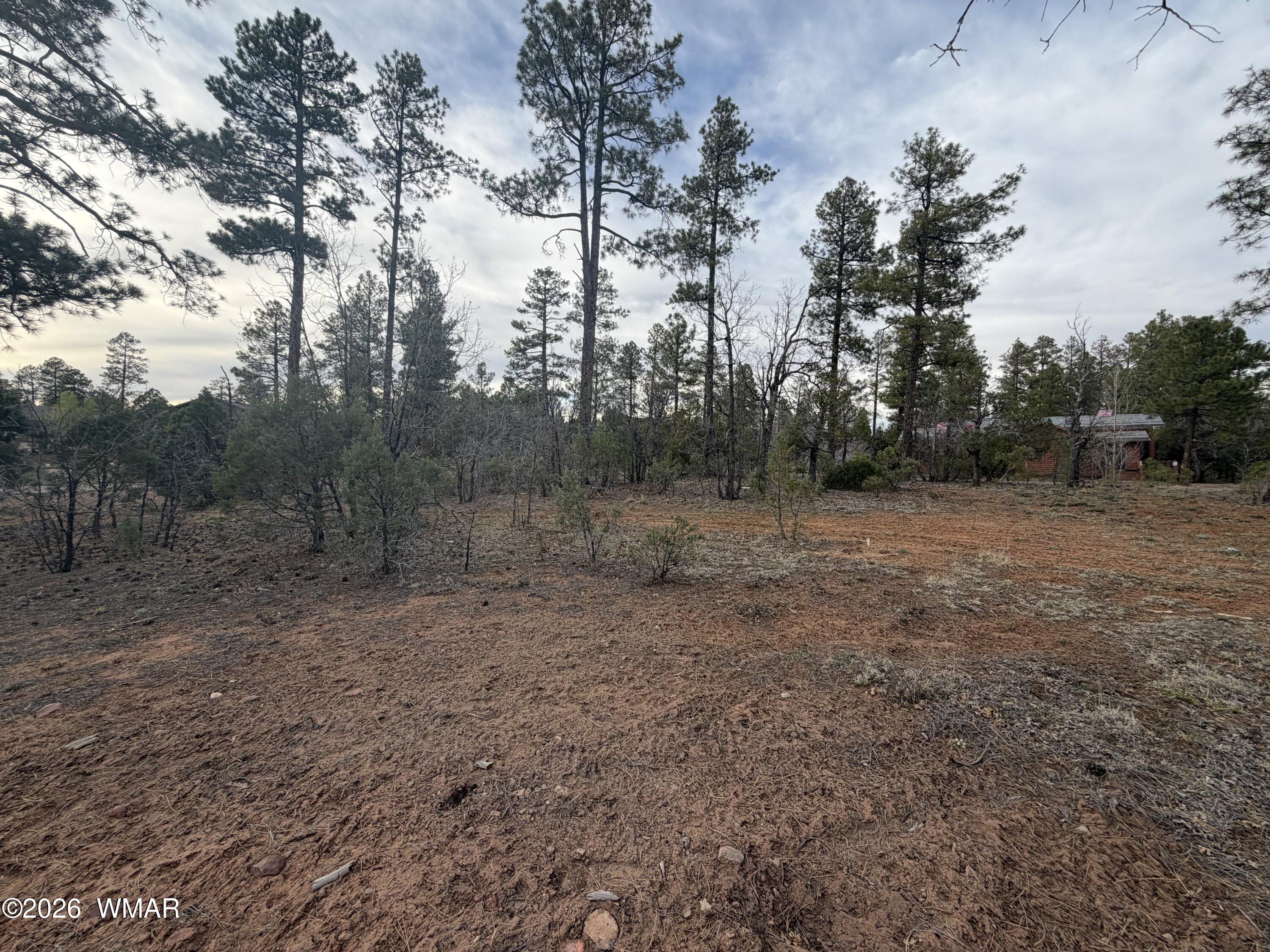 5961 Starlight Ridge Road Lakeside, AZ 85929 - Photo 2 of 16 a view of a forest with trees in the background
