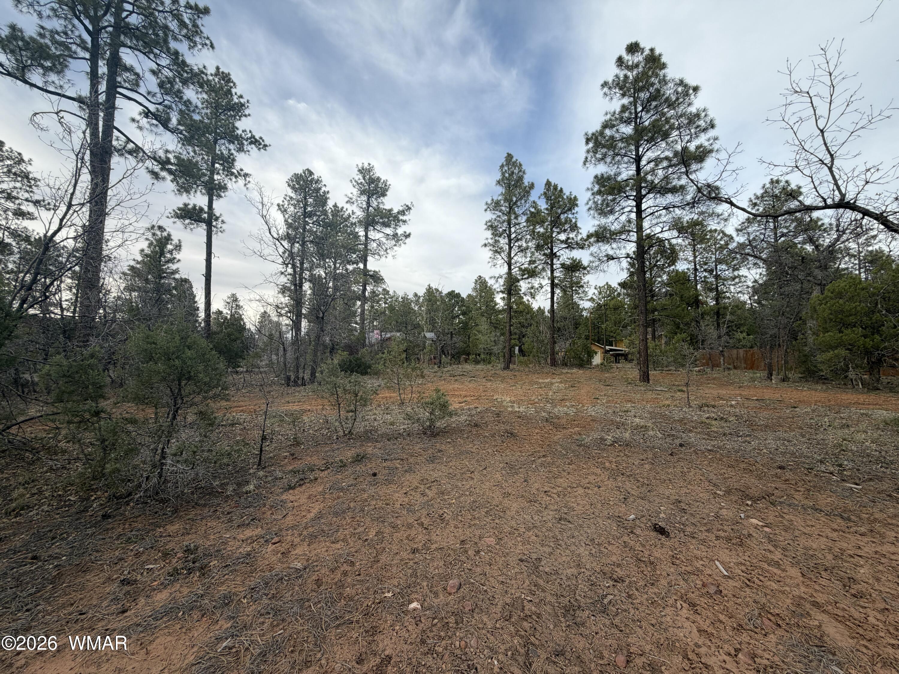 5961 Starlight Ridge Road Lakeside, AZ 85929 - Photo 3 of 16 a view of an outdoor space with trees all around
