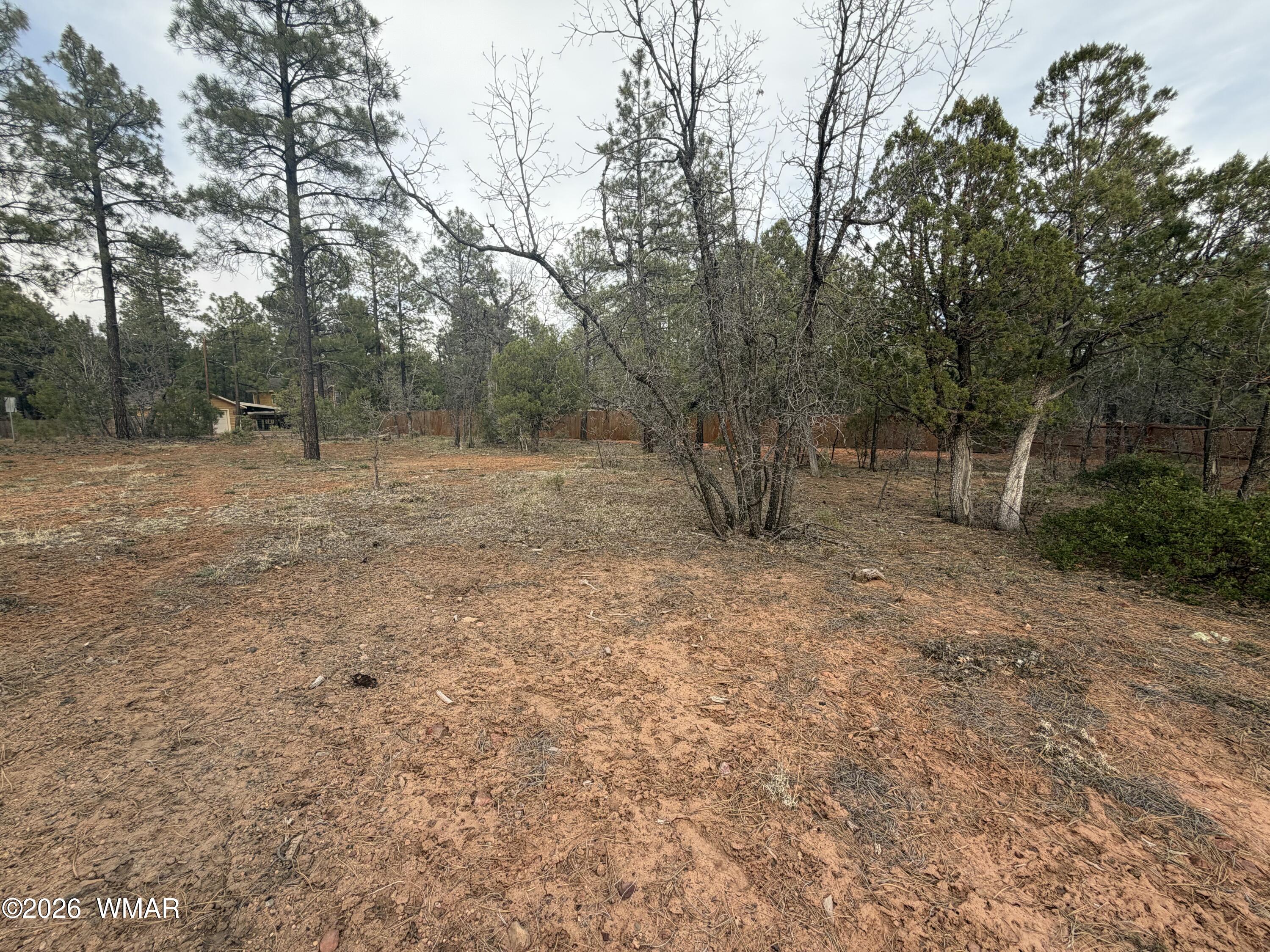 5961 Starlight Ridge Road Lakeside, AZ 85929 - Photo 4 of 16 a view of outdoor space with large trees