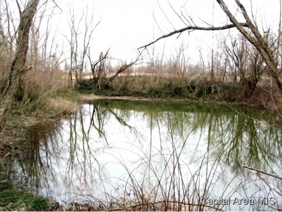 97 And Rock Road Pleasant Plains, IL 62677 - Photo 1 of 6 Gallery Image 1