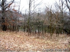 97 And Rock Road Pleasant Plains, IL 62677 - Photo 2 of 6 Gallery Image 2