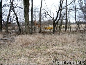 97 And Rock Road Pleasant Plains, IL 62677 - Photo 3 of 6 Gallery Image 3