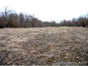 97 And Rock Road Pleasant Plains, IL 62677 - Photo 4 of 6 Gallery Image 4