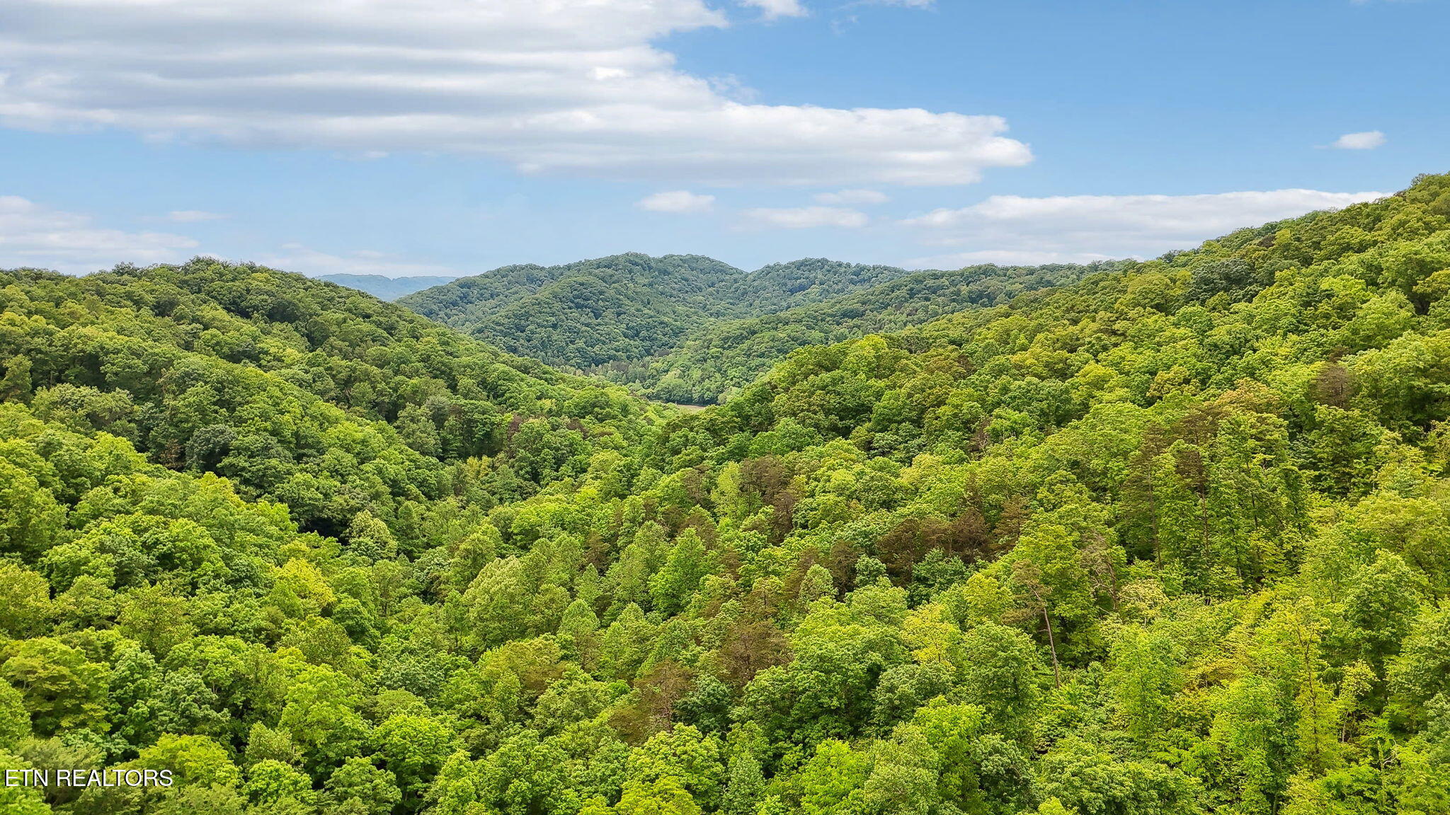 201 Birch Hollow Road Maynardville, TN 37807 - Photo 11 of 11 201 BIRCH HOLLOW RD