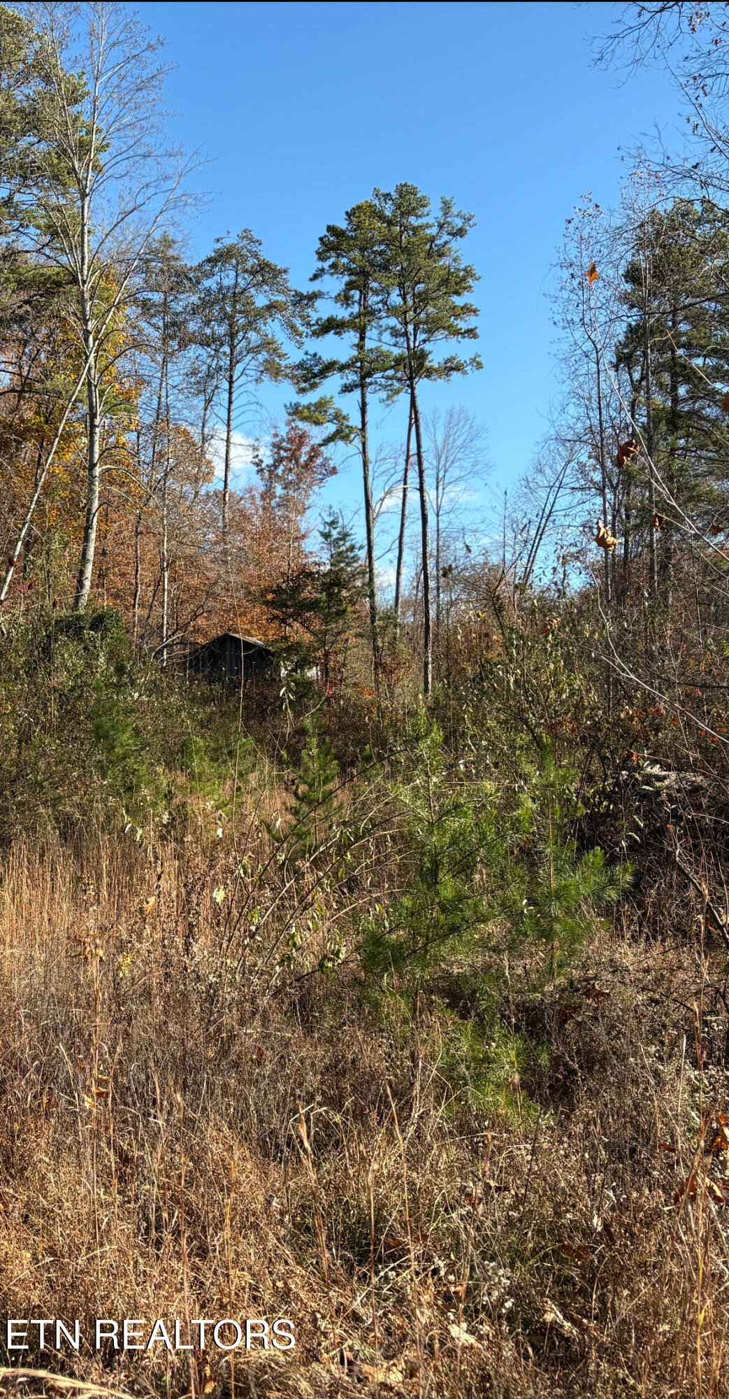 201 Birch Hollow Road Maynardville, TN 37807 - Photo 4 of 11 Barn