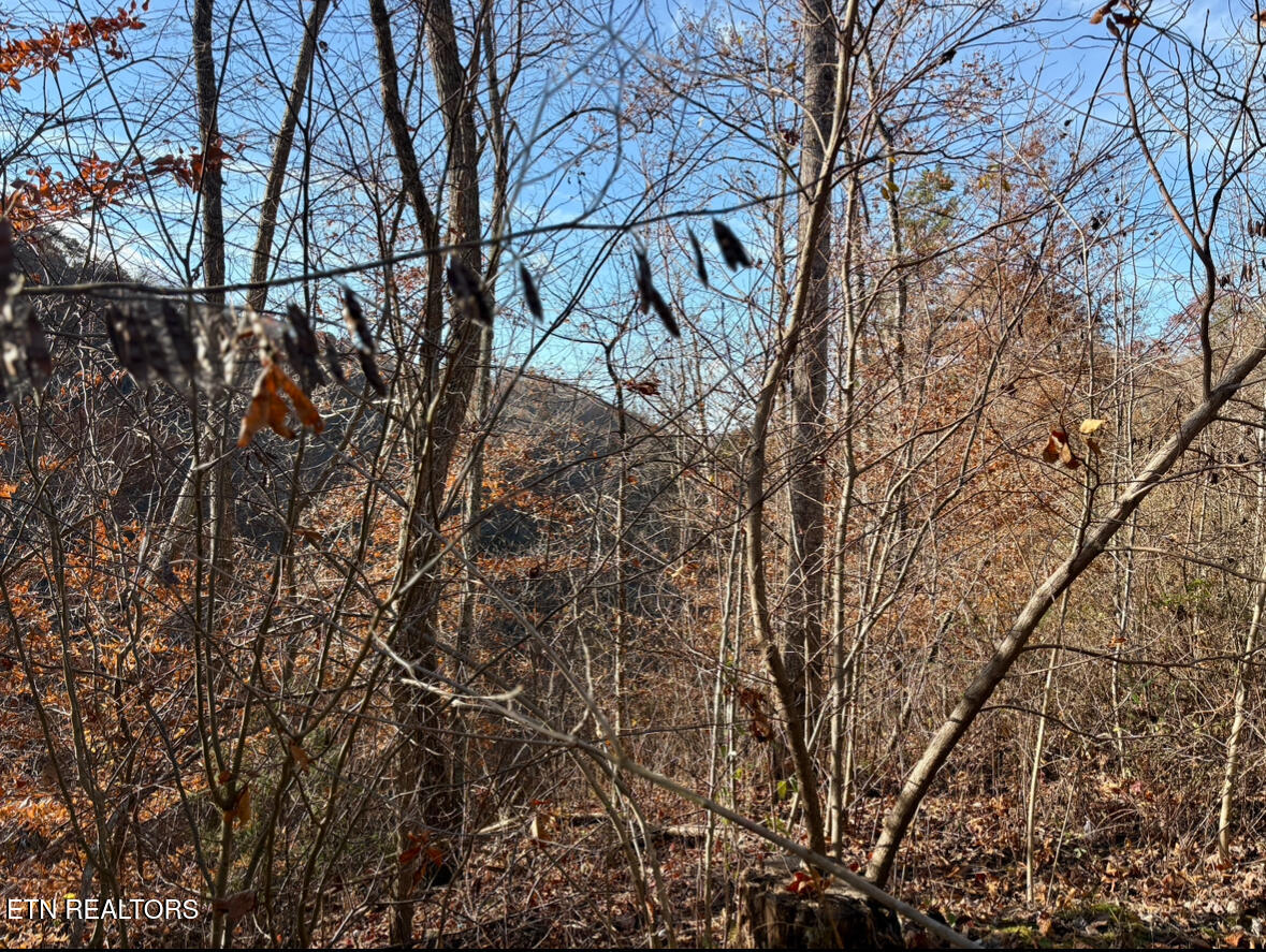 201 Birch Hollow Road Maynardville, TN 37807 - Photo 5 of 11 Mountain Views