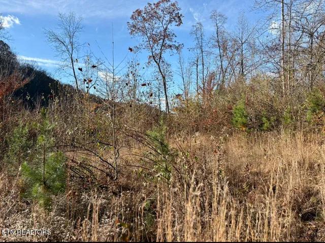 $425,000 | 201 Birch Hollow Road, Maynardville, TN 37807