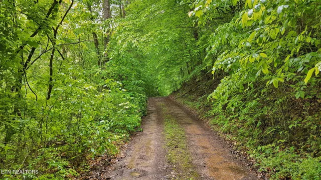 $399,900 | 201 Birch Hollow Road, Maynardville, TN 37807